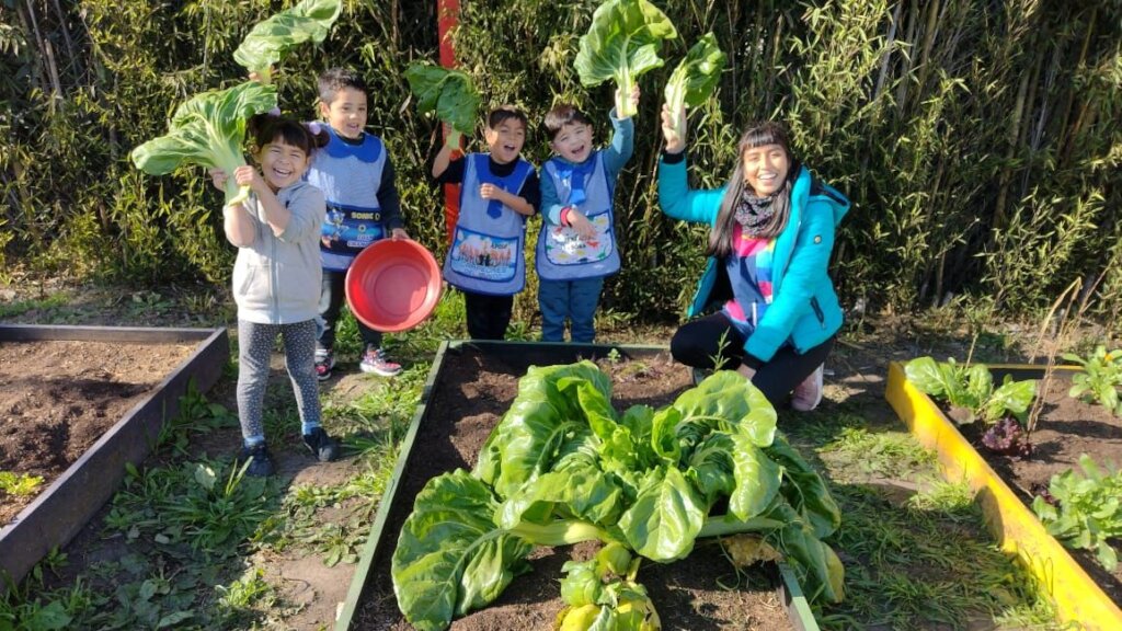 2,410 Children benefited with 10 Vegetable Gardens