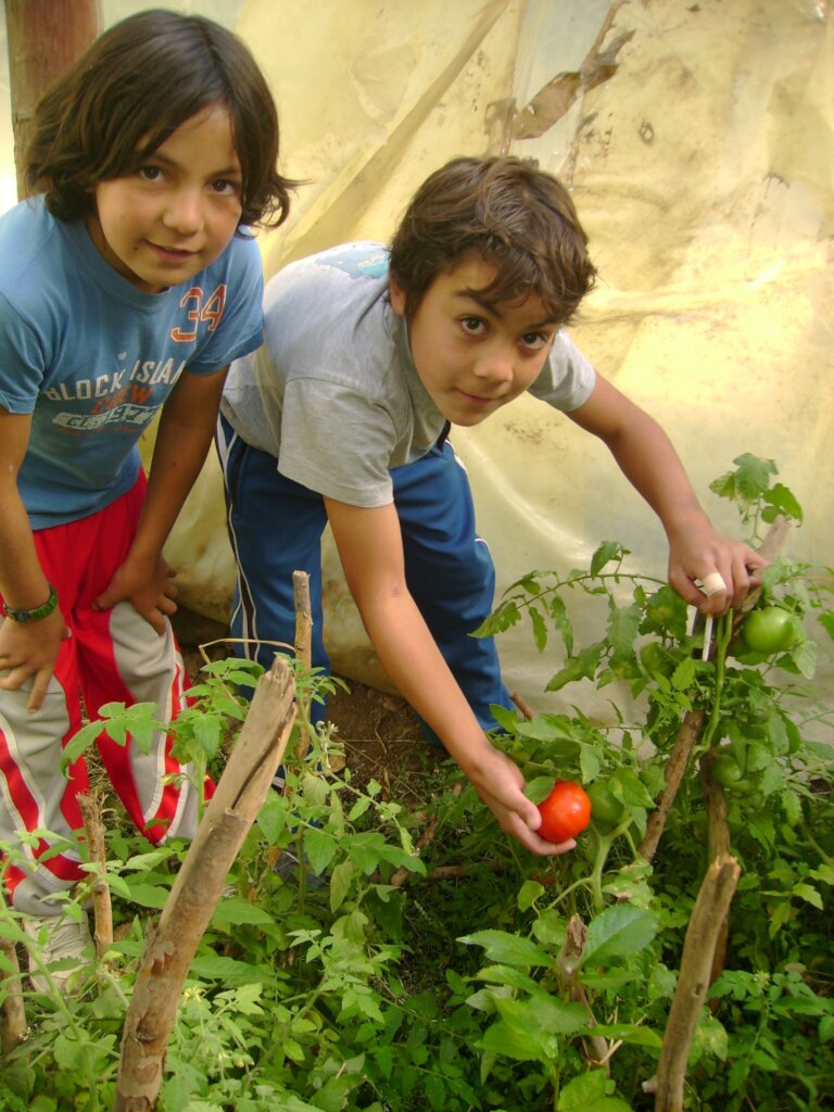 2,410 Children benefited with 10 Vegetable Gardens