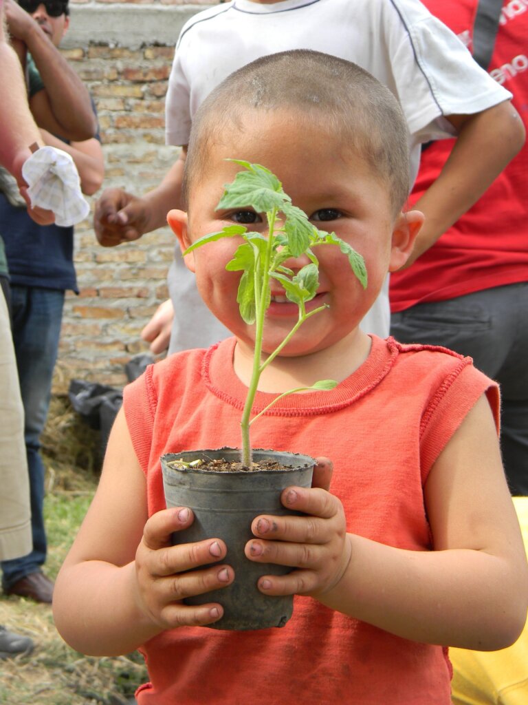 2,410 Children benefited with 10 Vegetable Gardens