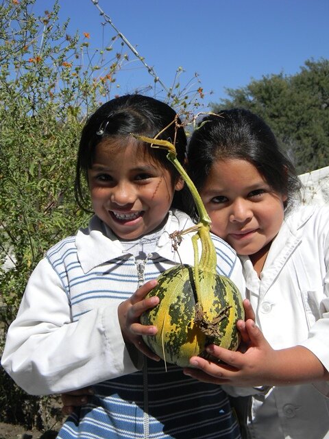 2,410 Children benefited with 10 Vegetable Gardens
