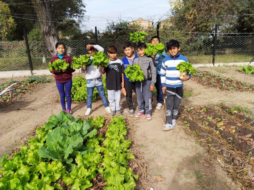 2,410 Children benefited with 10 Vegetable Gardens