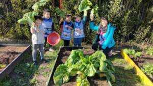 CHARD