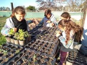 SEEDBEDS