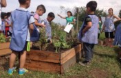 2,410 Children benefited with 10 Vegetable Gardens
