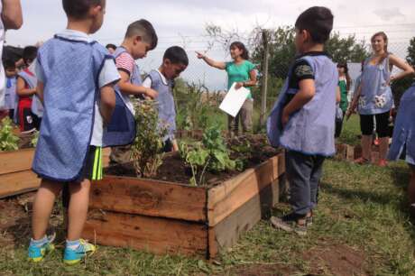 2,410 Children benefited with 10 Vegetable Gardens