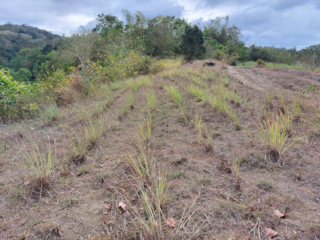 Uplifting lives of 30 farmers families in Negros