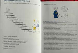 content of the manual