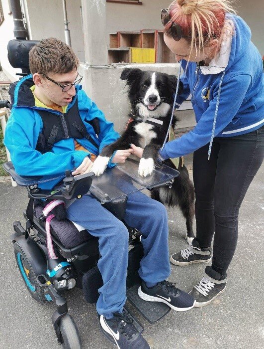 Empowering Children to Overcome Fear of Dog