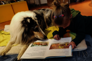 Empowering Children to Overcome Fear of Dog