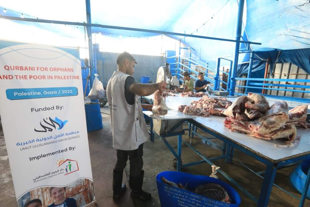 15 Sacrifices For Eid al-Adha In Gaza Palestine