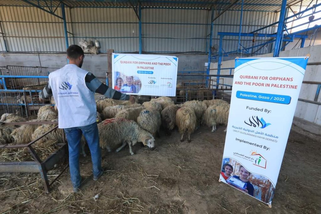 15 Sacrifices For Eid al-Adha In Gaza Palestine