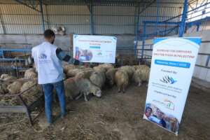 15 Sacrifices For Eid al-Adha In Gaza Palestine