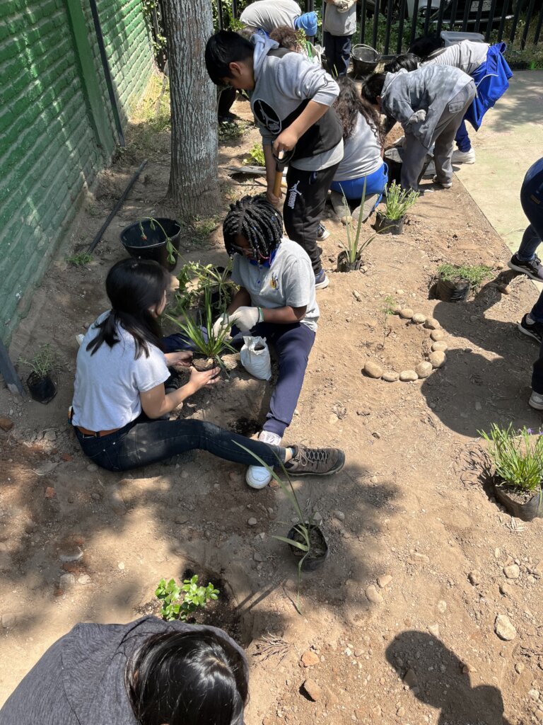 Workshop on the Ecosystem benefits of Trees in the