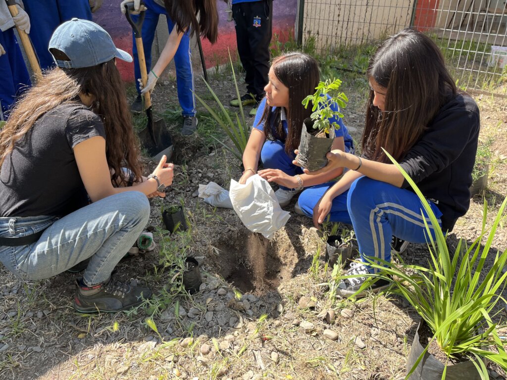 Workshop on the Ecosystem benefits of Trees in the