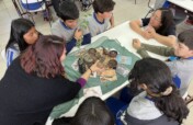 Workshop on the Ecosystem benefits of Trees in the