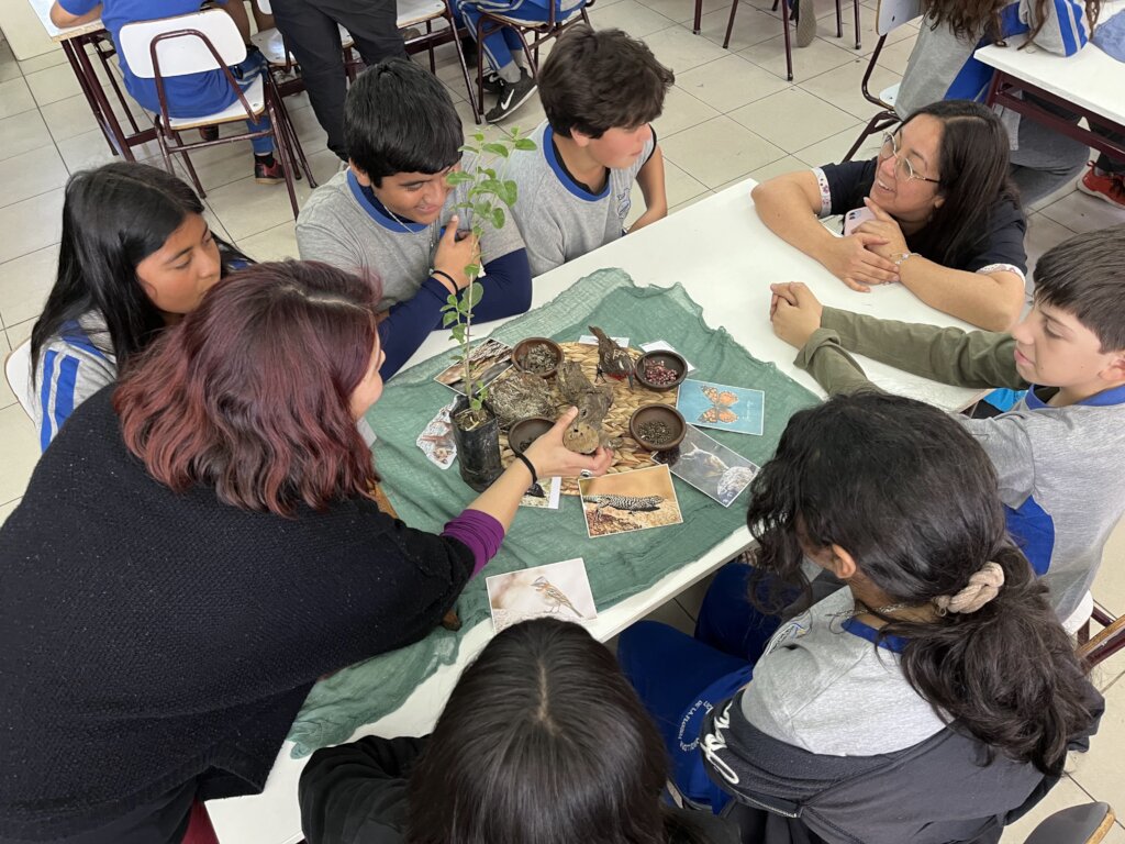 Workshop on the Ecosystem benefits of Trees in the