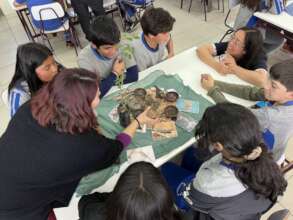 Workshop on the Ecosystem benefits of Trees in the