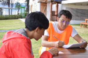 Psychological therapies