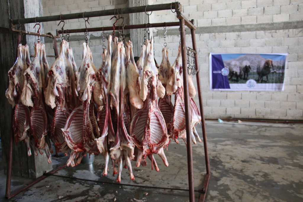 Qurbani/Udhiyya for Palestine