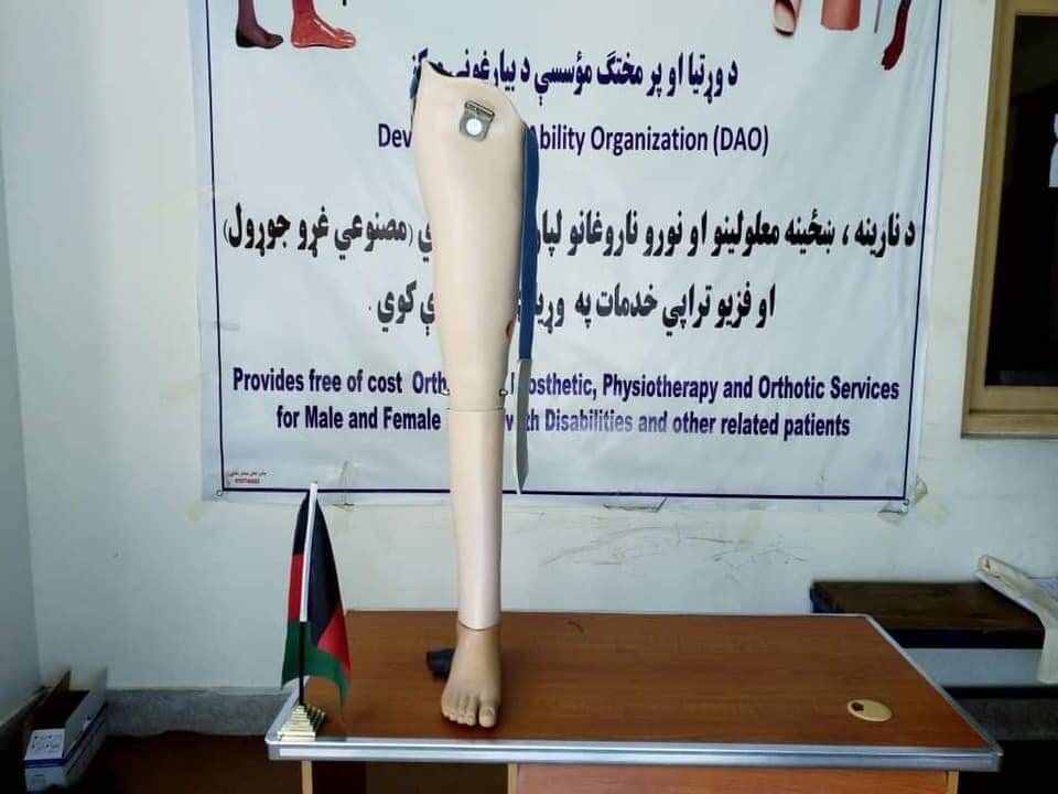 Provision of Physical Rehabilitation Services.