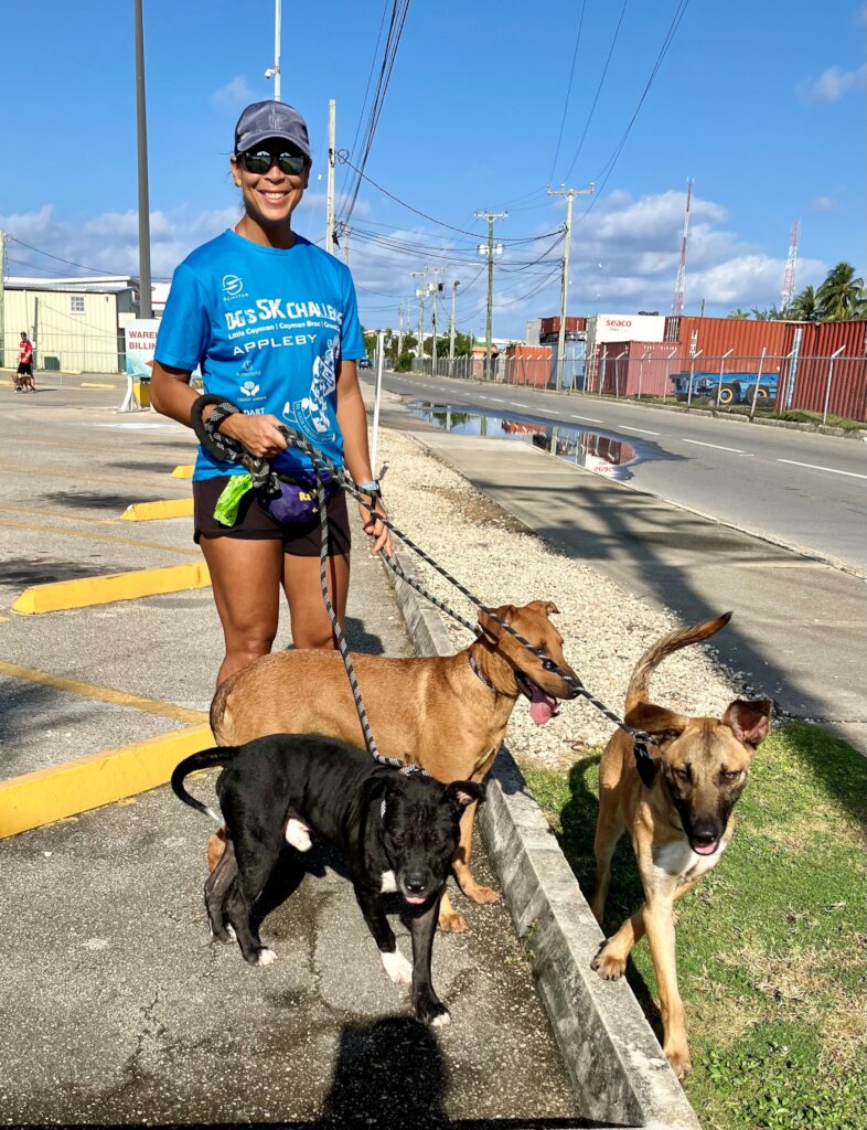 Save Homeless Cats and Dogs in the Cayman Islands