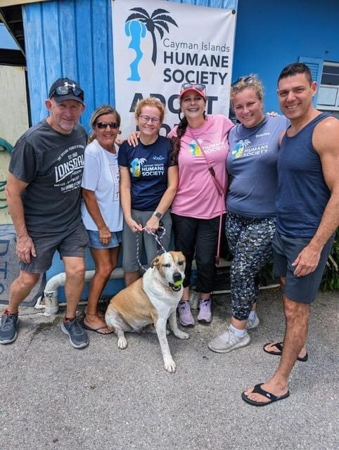 Save Homeless Cats and Dogs in the Cayman Islands