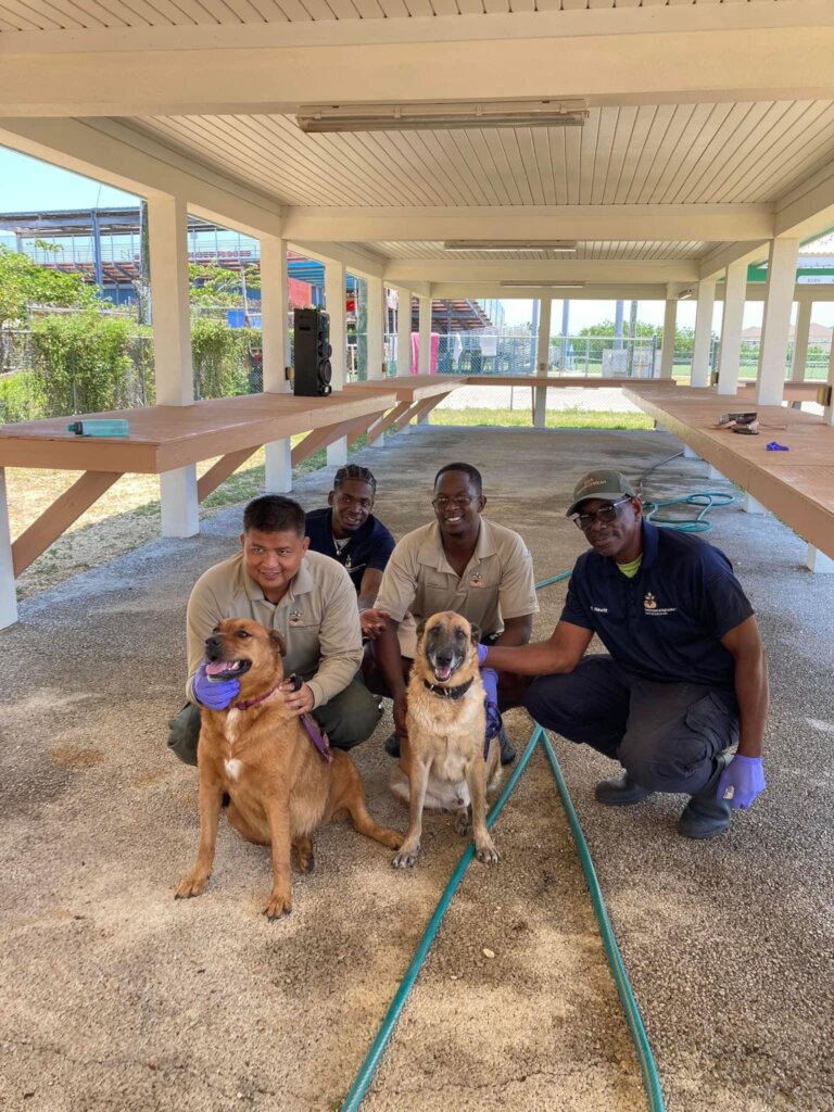 Save Homeless Cats and Dogs in the Cayman Islands