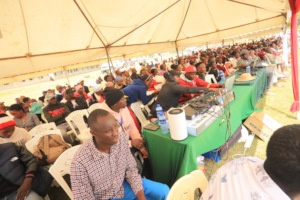 Community Celebration at Amani