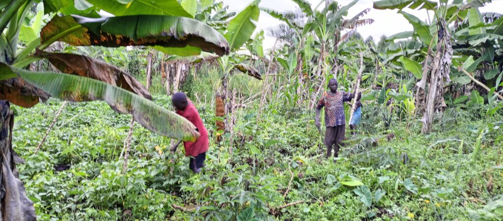 Donate Provide Shelter To GBV Survivor Grandma