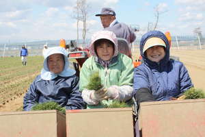 Women volunteering at OISCA's project in Miyagi