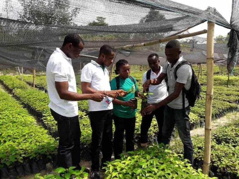 Upskilling Young Africans to Make Positive Change
