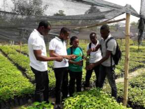 Learning how to plant cocoa in a sustainable way