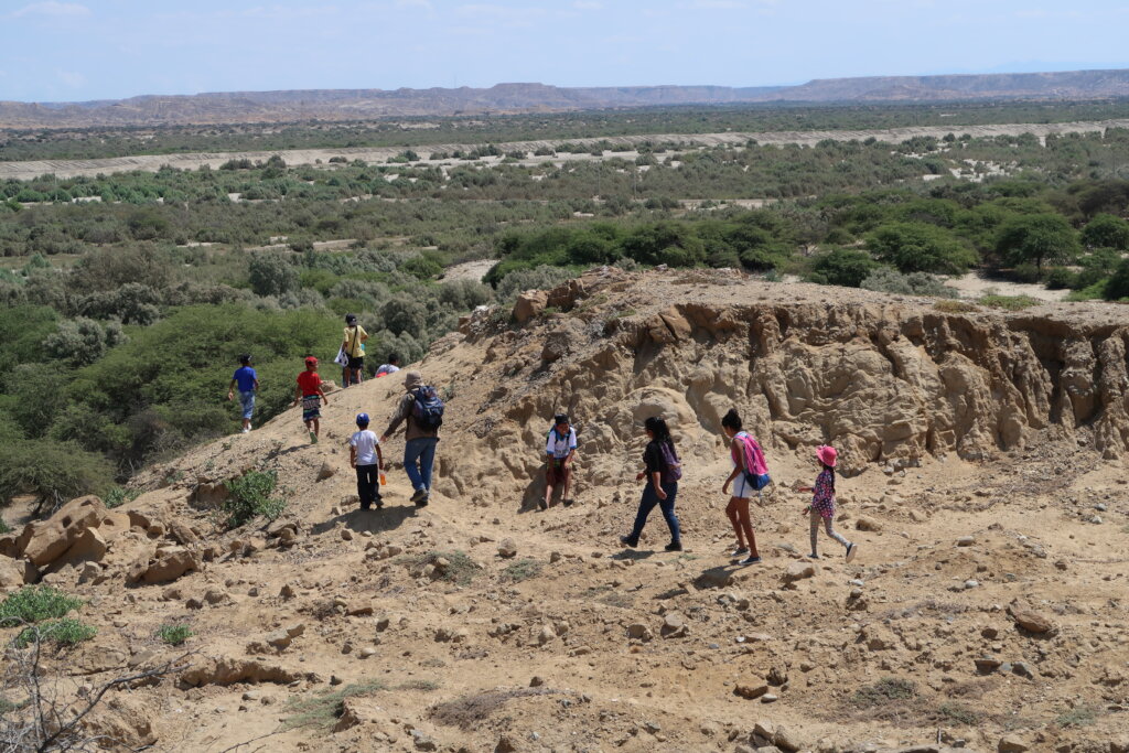 Community-Driven Conservation of Peru's Dry Forest
