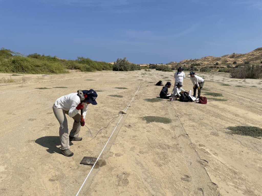 Community-Driven Conservation of Peru's Dry Forest