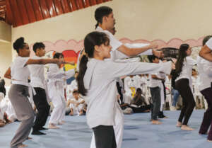 TAEKWONDO PRESENTATION