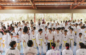 TAEKWONDO PRESENTATION