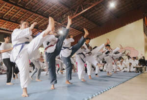 TAEKWONDO PRESENTATION