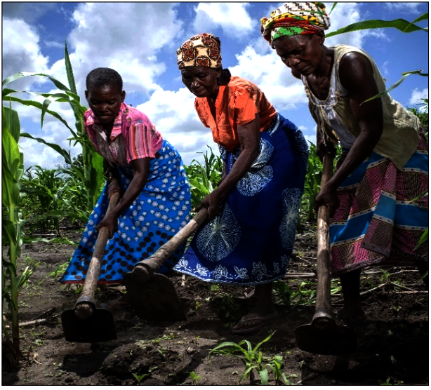 CARE: Farmer Field and Business Schools