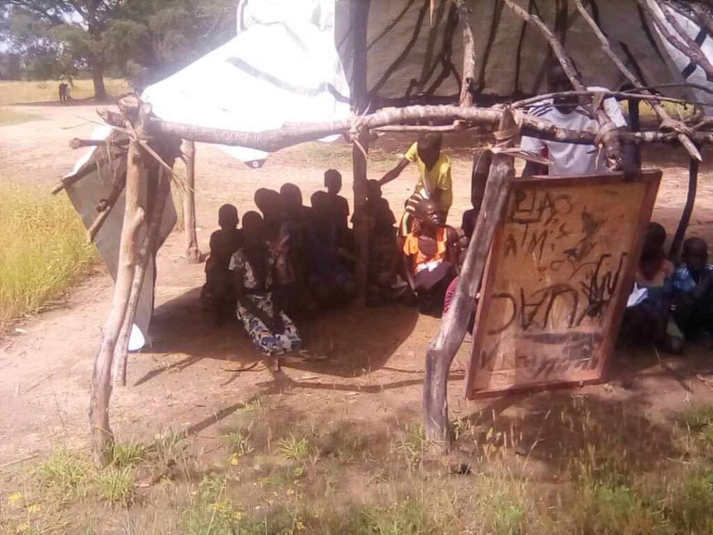 Roots to Fruits: Grow a Sustainable South Sudan