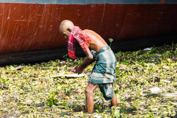Addressing Hunger Among Bangladesh's Elderly
