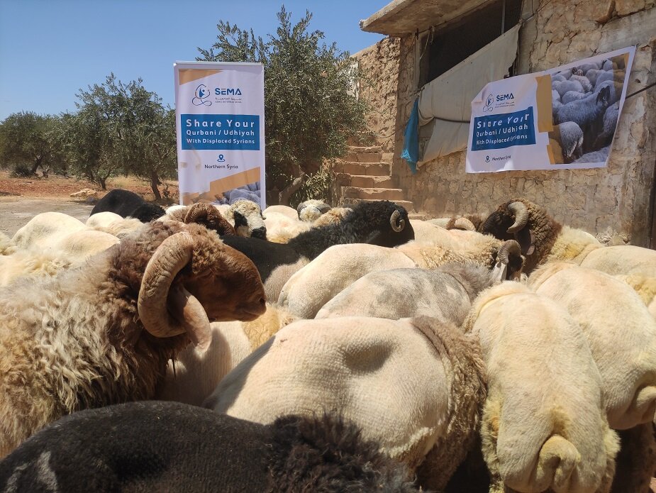 Qurbani 2024: Feeding the Needy in Syria this Eid