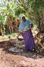 Regenerative agriculture in Zanzibar
