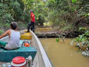Field investigation, amazon rainforest