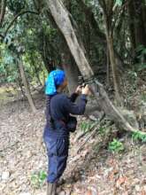 Yeimi setting up wildlife cameras