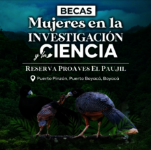 Women Scientist Scholarship Flyer