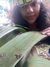 Angie observing a Cauca poison frog