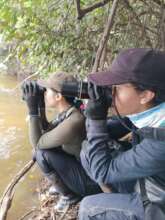 Yeimi's daily Otter Observation