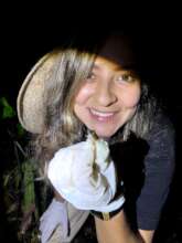 Stefanny