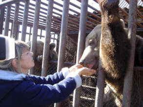 Founder of Libearty Cristina Lapis