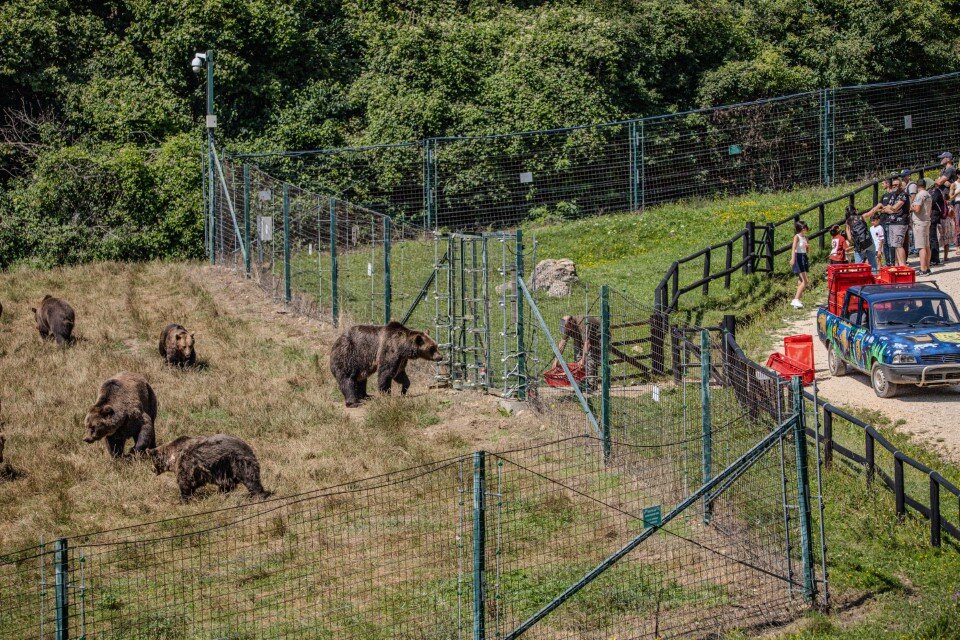 Lunch time at Libearty